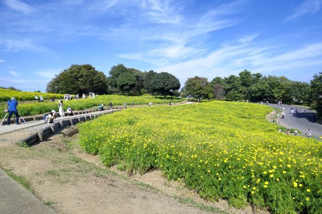 花の丘1.JPG