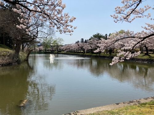 鶴岡1.jpg
