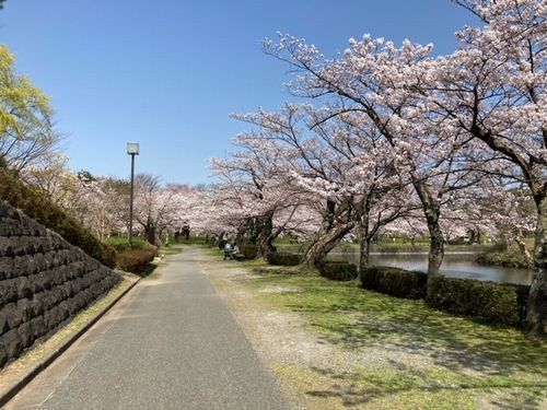 鶴岡2.jpg