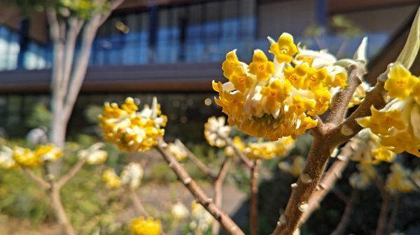 3.10立川4.JPG