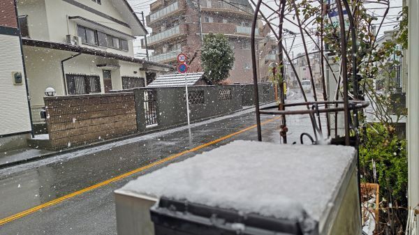 3.19雪.JPG