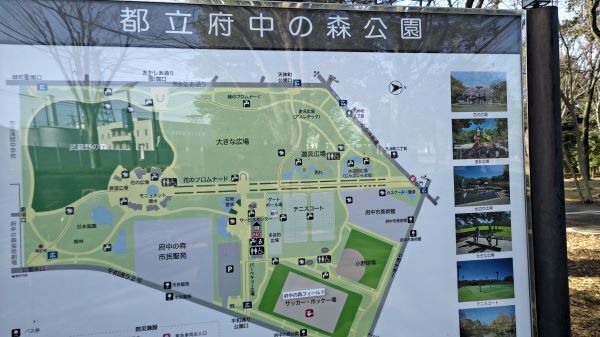 3.7府中の森1.JPG