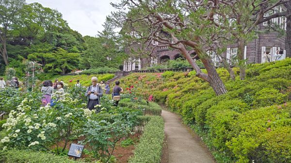 5.26旧古河庭園18.JPG